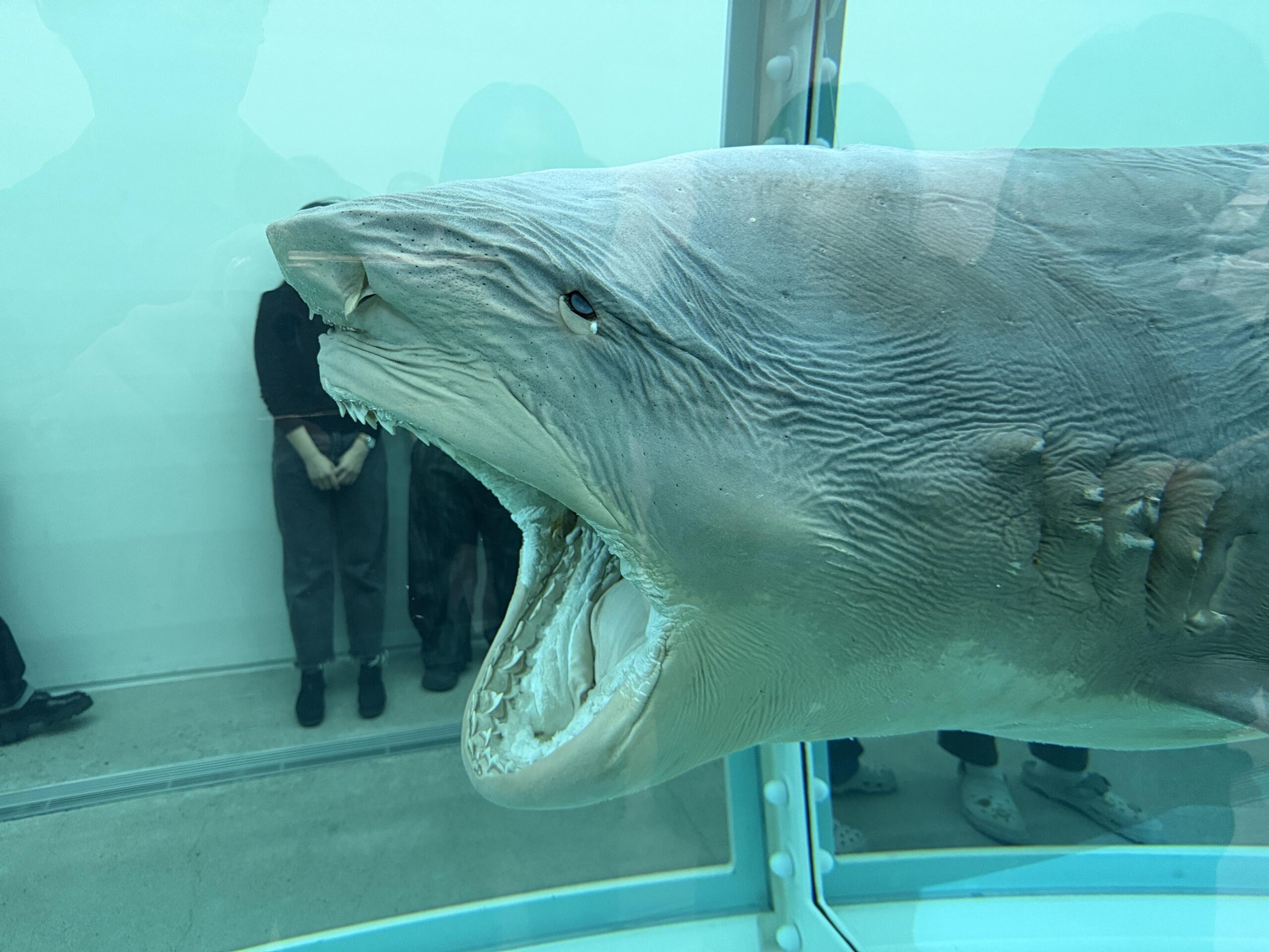 [전시_2026] Damien Hirst : 진실은 없어 그러나 모든 것은 가능하지